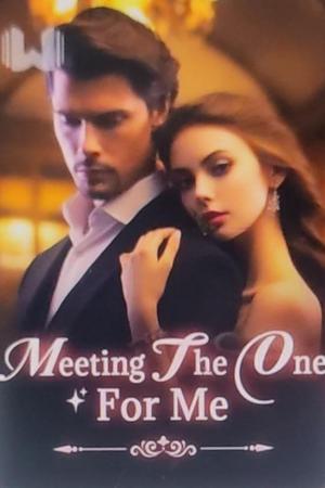 Meeting The One For Me Meeting The One For Me