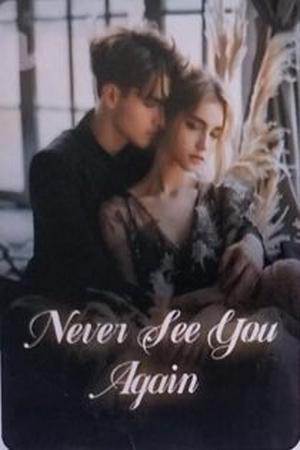 Never See You Again Never See You Again